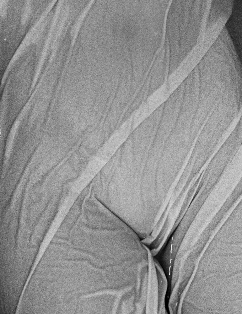 August 2022-Ongoing, Jess Ruby James: Like Tissue