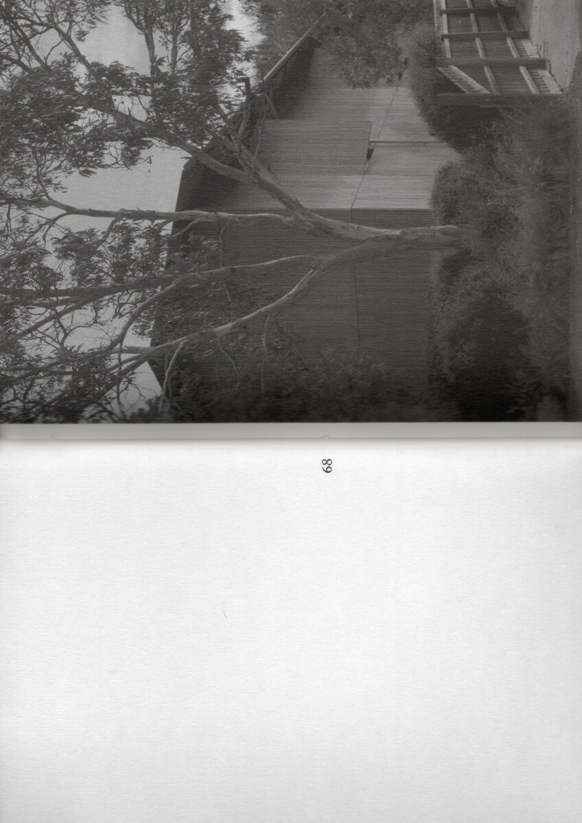 EPSON113